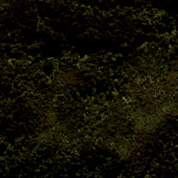 Satellite imagery of Ratakura Point, NZ