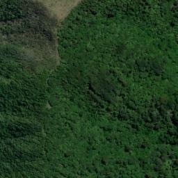 Satellite imagery of Wiffen Point, NZ