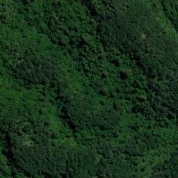 Satellite imagery of Wiffen Point, NZ