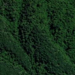 Satellite imagery of Wiffen Point, NZ