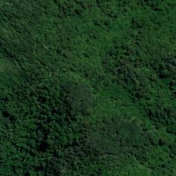 Satellite imagery of Wiffen Point, NZ