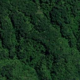 Satellite imagery of Wiffen Point, NZ