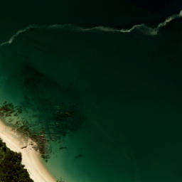 Satellite imagery of Cave Point, NZ