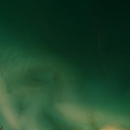 Satellite imagery of Sawpit Point, NZ