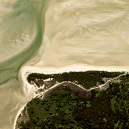 Satellite imagery of Sawpit Point, NZ