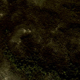 Satellite imagery of Reef Point, NZ