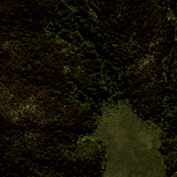 Satellite imagery of Reef Point, NZ