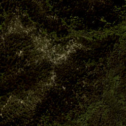 Satellite imagery of Reef Point, NZ