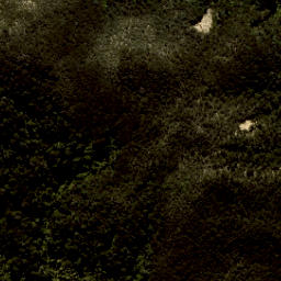 Satellite imagery of Reef Point, NZ