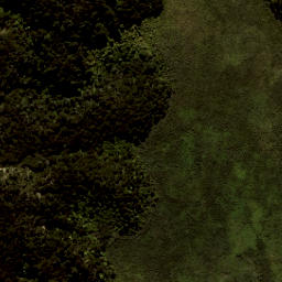 Satellite imagery of Reef Point, NZ