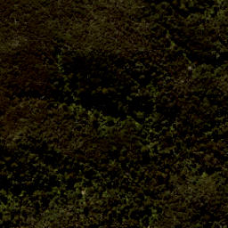 Satellite imagery of Tonga Quarry, NZ