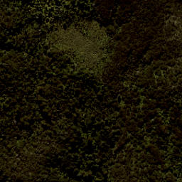 Satellite imagery of Reef Point, NZ