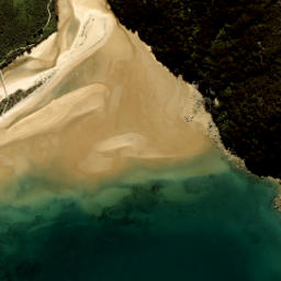 Satellite imagery of Reef Point, NZ