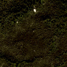 Satellite imagery of Tonga Quarry, NZ