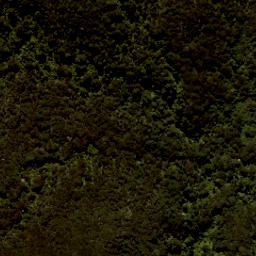 Satellite imagery of Tonga Quarry, NZ