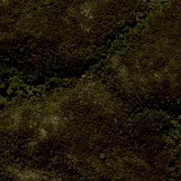 Satellite imagery of Tonga Quarry, NZ