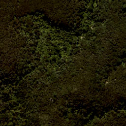 Satellite imagery of Tonga Quarry, NZ