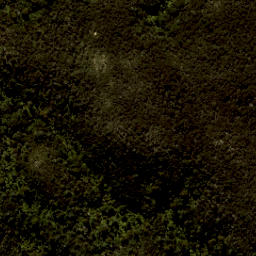 Satellite imagery of Arch Point, NZ