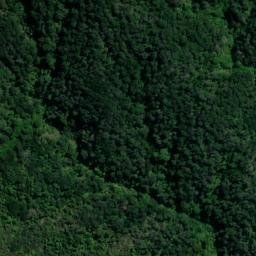 Satellite imagery of Te Akau Point, NZ