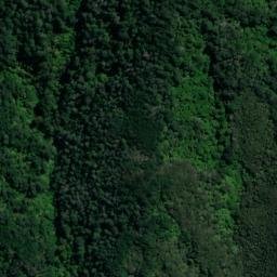 Satellite imagery of Te Akau Point, NZ