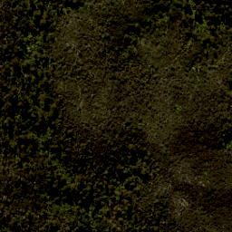 Satellite imagery of Arch Point, NZ