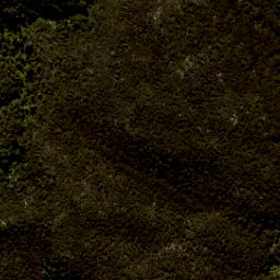 Satellite imagery of Arch Point, NZ