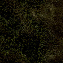 Satellite imagery of Arch Point, NZ