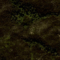 Satellite imagery of Arch Point, NZ