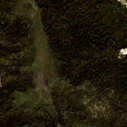 Satellite imagery of Foul Point, NZ