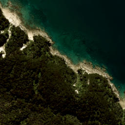 Satellite imagery of Foul Point, NZ