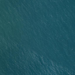 Satellite imagery of Castle Point, NZ