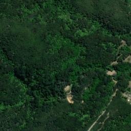 Satellite imagery of Channel Point, NZ