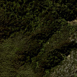 Satellite imagery of South Head, NZ