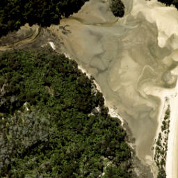 Satellite imagery of South Head, NZ