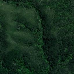 Satellite imagery of Reef Point, NZ