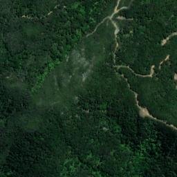 Satellite imagery of Reef Point, NZ