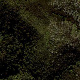 Satellite imagery of South Head, NZ