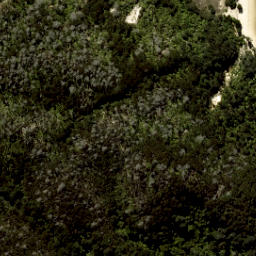 Satellite imagery of South Head, NZ