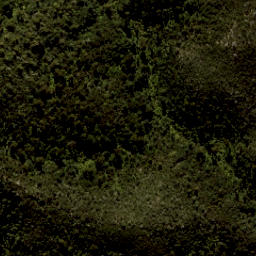 Satellite imagery of South Head, NZ