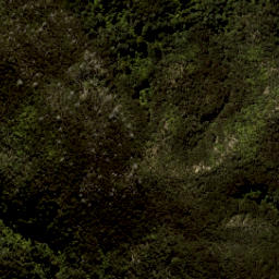Satellite imagery of South Head, NZ