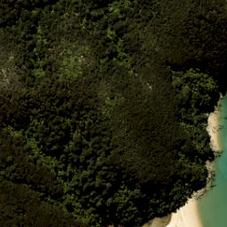 Satellite imagery of South Head, NZ