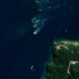 Satellite imagery of Collinet Point, NZ