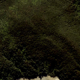 Satellite imagery of North Head, NZ