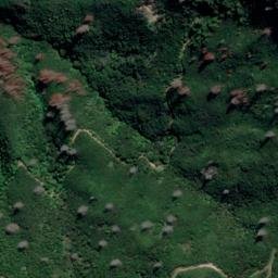 Satellite imagery of Whangapoto Point, NZ