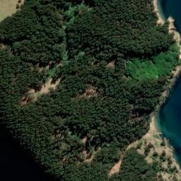 Satellite imagery of Mataka Point, NZ