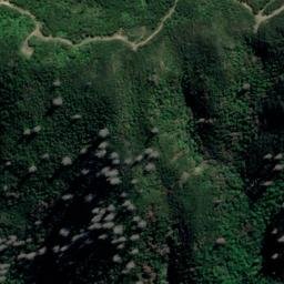 Satellite imagery of Whangapoto Point, NZ