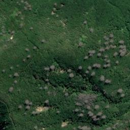 Satellite imagery of Burnt Point, NZ