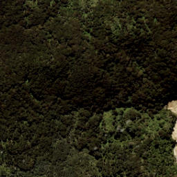 Satellite imagery of Te Karetu Point, NZ
