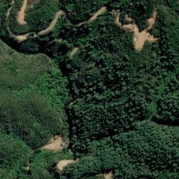 Satellite imagery of Rat Point, NZ