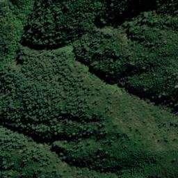 Satellite imagery of Rat Point, NZ